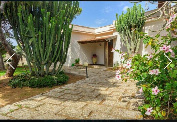 Casa Vacanze Il Gelso Rosso Villa Valderice Ngoại thất bức ảnh